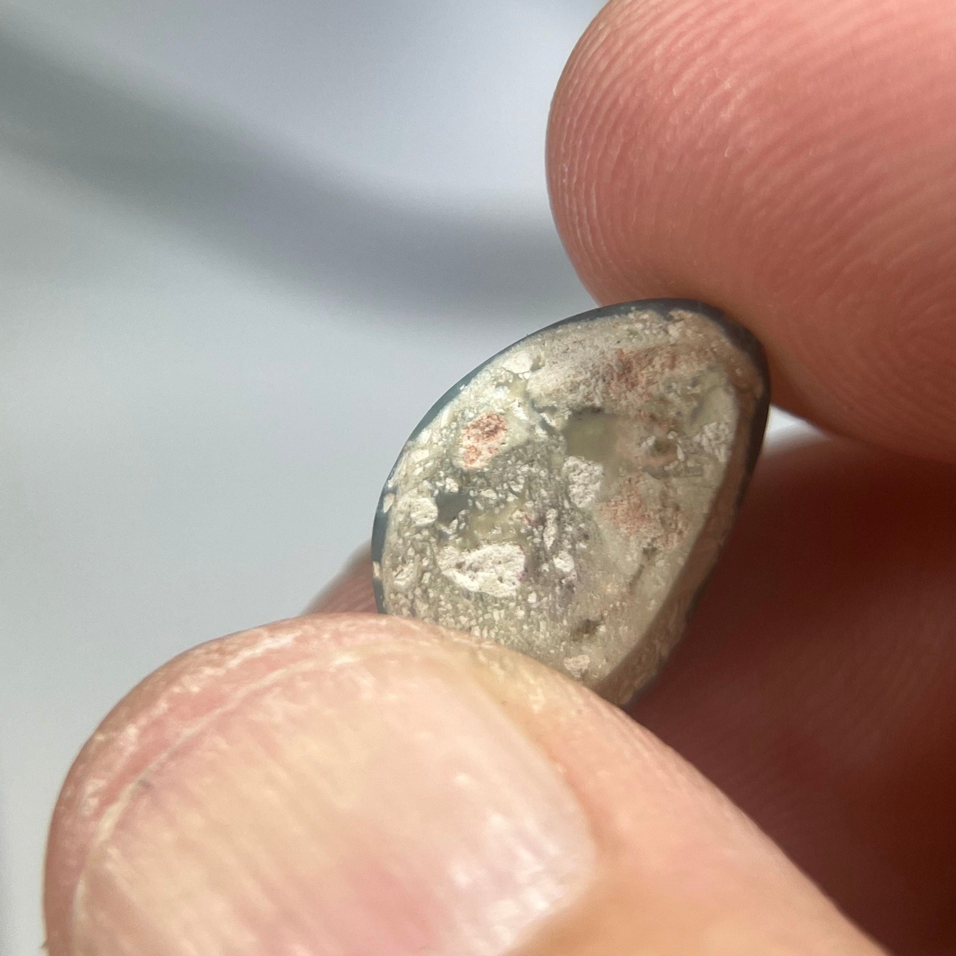 Lightning Ridge gem quality semi-black solid opal. Ready to make into that perfect ring or pendant. Beautiful greens and blues with a hint of reds.