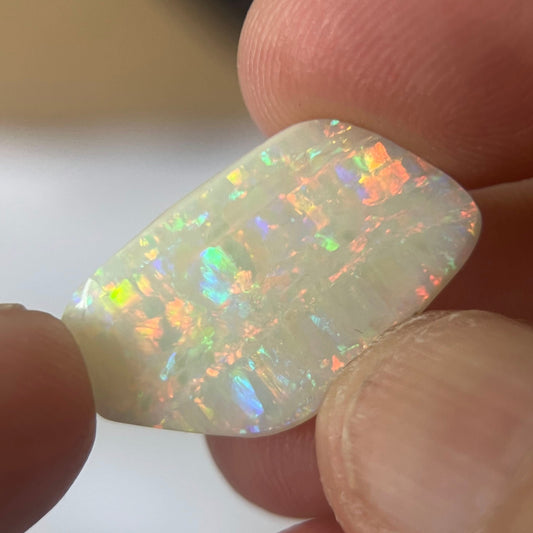 Wonderful vertical mulga gem quality stone. This will make a fantastic piece of jewellery. Showing deep colours. Its perfect! From the mine of Craig Haxton in Lightning Ridge.