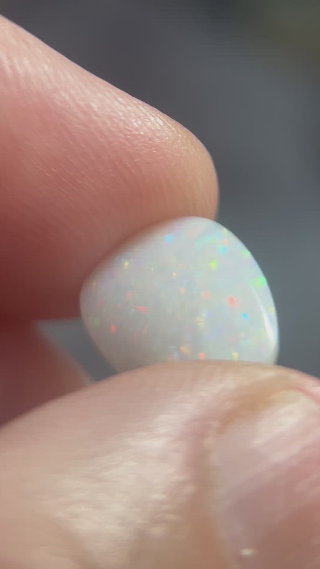 Coober Pedy pinfire, showing all the colours. Ready for setting. "A little gem".