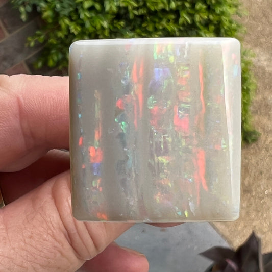 Beautiful piece of Grawin vertical Mulga. A perfect pendant statement piece.