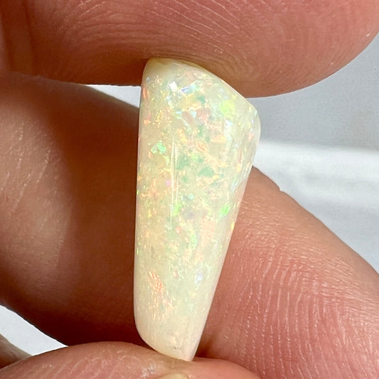 Solid Fossilised Belemnite Opal with beautiful pin fire colours.