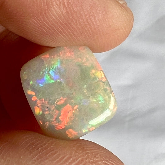 Stunning cushion cut semi black opal from Grawin, near Lightning Ridge, displaying an impressive play of colour including plenty of reds.