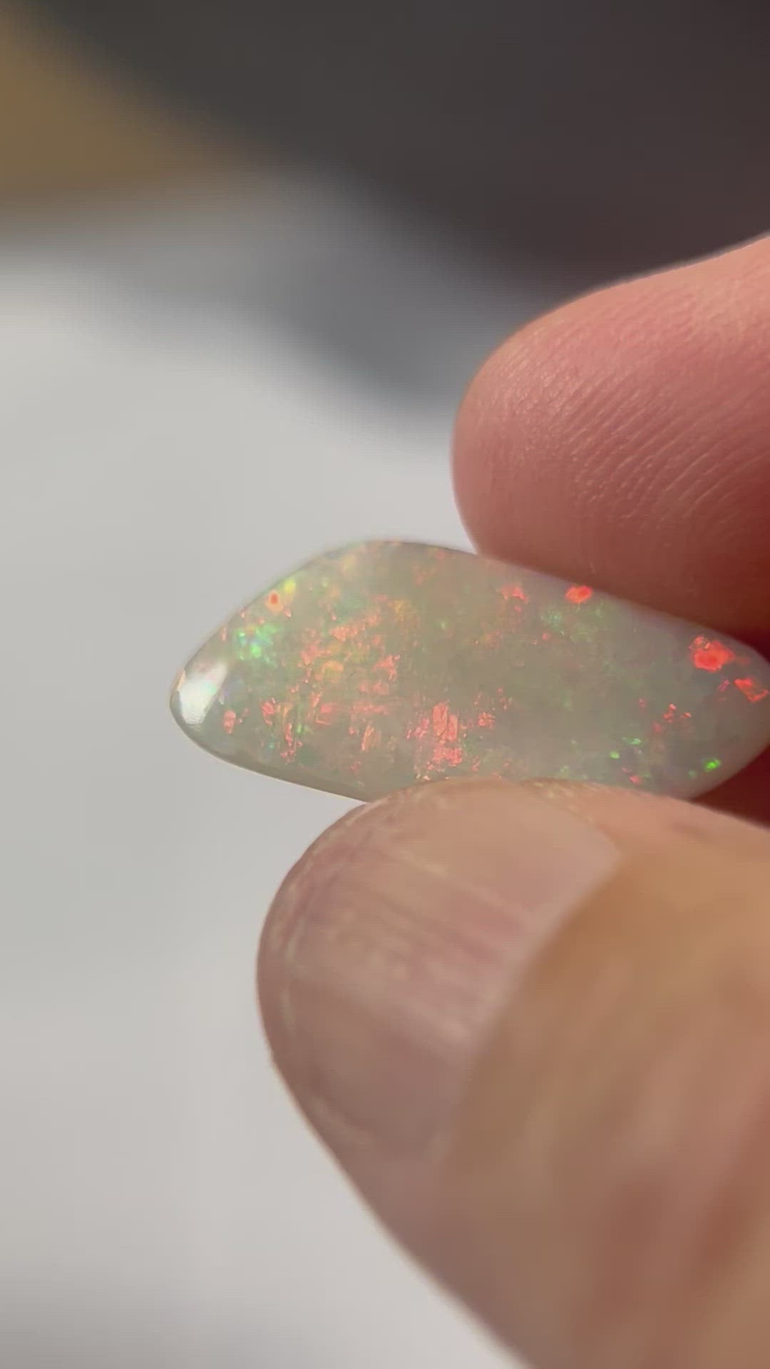 Lightning Ridge solid opal. Well shaped stone displaying stunning colours from all angles including plenty of reds, orange and greens.