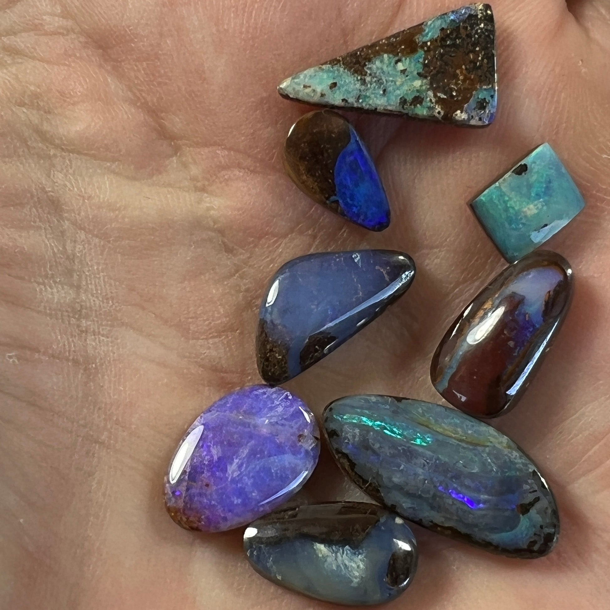 Eight pieces of beautiful boulder opal from Winton. A lovely array of colours.