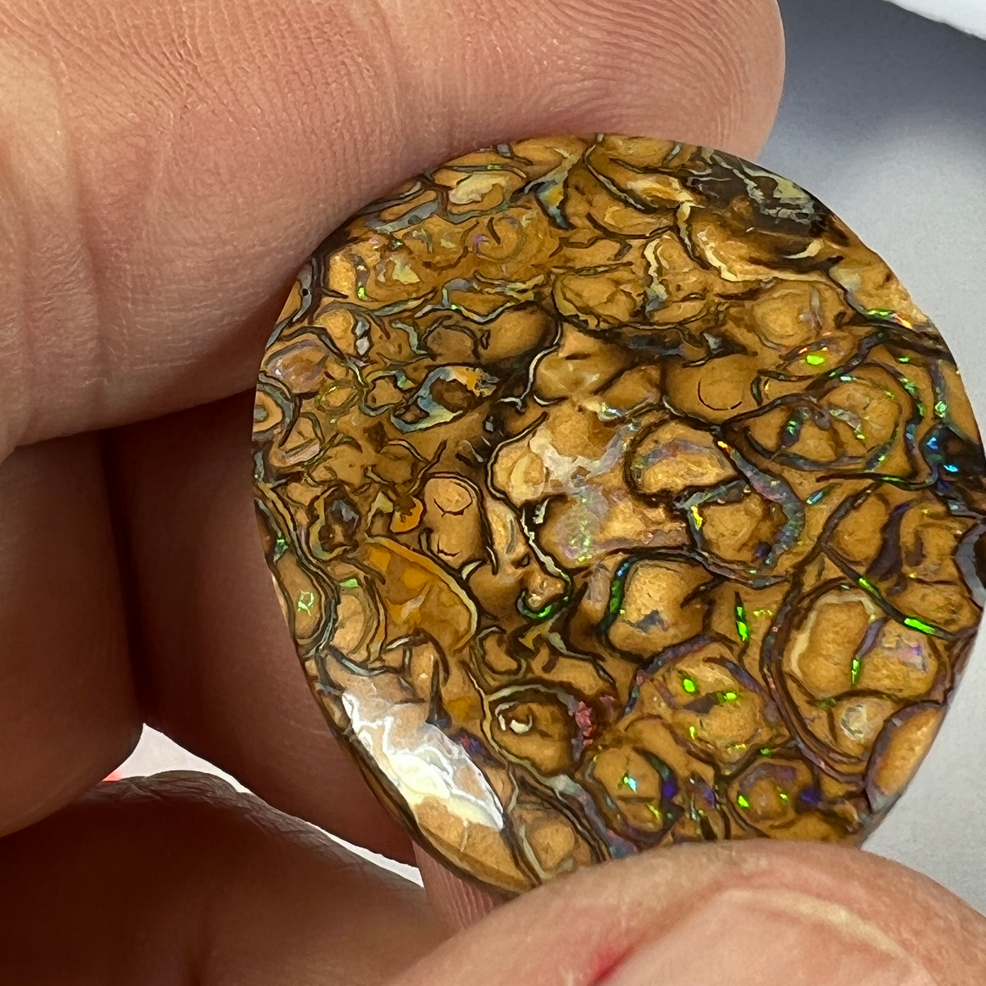 Large Yowah Matrix opal with a great pattern and colour.