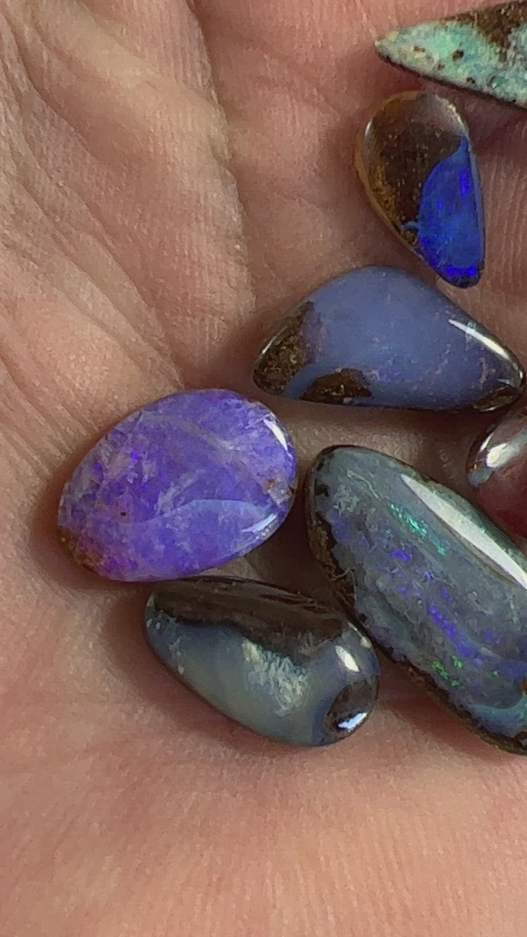 Eight pieces of beautiful boulder opal from Winton. A lovely array of colours.